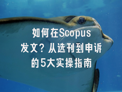 如何在Scopus发文？从选刊到申诉的5大实操指南
