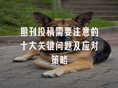 期刊投稿需要注意的十大关键问题及应对策略