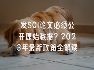 发SCI论文必须公开原始数据？2023年最新政策全解读