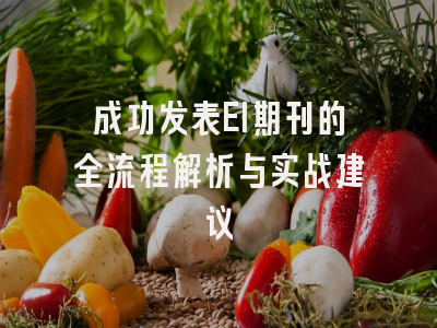 成功发表EI期刊的全流程解析与实战建议
