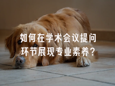 如何在学术会议提问环节展现专业素养？