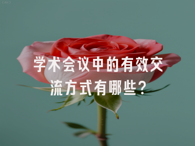 学术会议中的有效交流方式有哪些？