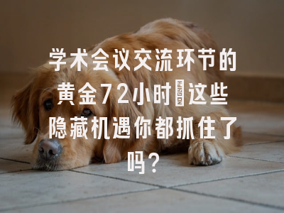 学术会议交流环节的黄金72小时：这些隐藏机遇你都抓住了吗？