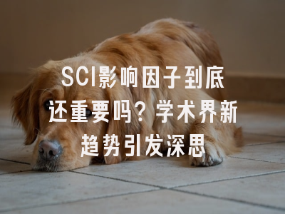 SCI影响因子到底还重要吗？学术界新趋势引发深思