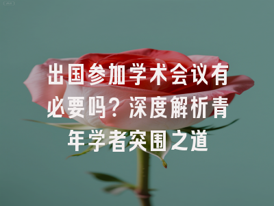 出国参加学术会议有必要吗？深度解析青年学者突围之道