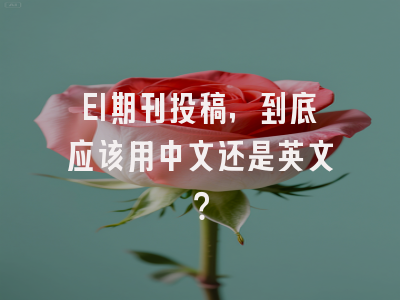 EI期刊投稿，到底应该用中文还是英文？