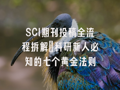 SCI期刊投稿全流程拆解：科研新人必知的七个黄金法则
