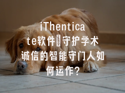 iThenticate软件：守护学术诚信的智能守门人如何运作？