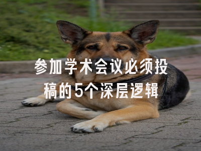 参加学术会议必须投稿的5个深层逻辑