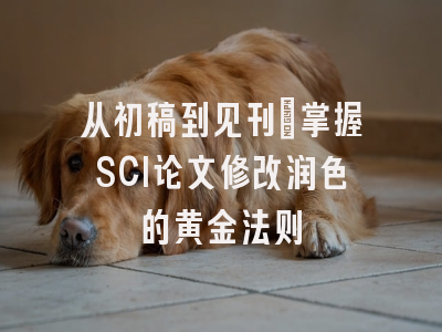 从初稿到见刊：掌握SCI论文修改润色的黄金法则