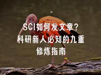 SCI如何发文章？科研新人必知的九重修炼指南