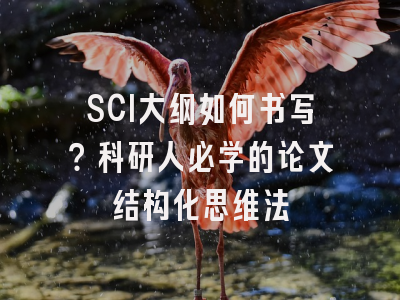 SCI大纲如何书写？科研人必学的论文结构化思维法