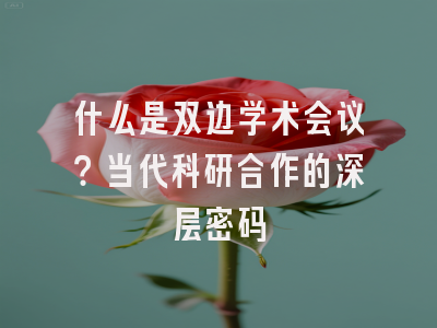 什么是双边学术会议？当代科研合作的深层密码