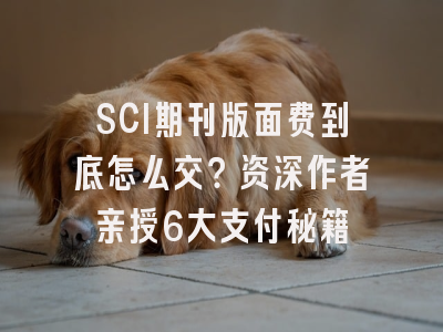 SCI期刊版面费到底怎么交？资深作者亲授6大支付秘籍