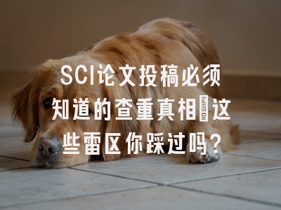SCI论文投稿必须知道的查重真相：这些雷区你踩过吗？