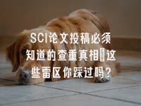 学术会议在线