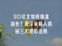 学术会议在线