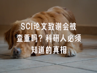 学术会议在线