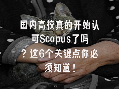 国内高校真的开始认可Scopus了吗？这6个关键点你必须知道！