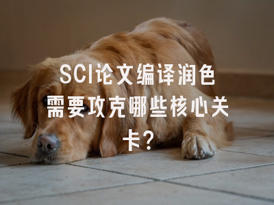 SCI论文编译润色需要攻克哪些核心关卡？
