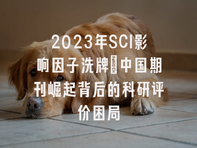 2023年SCI影响因子洗牌：中国期刊崛起背后的科研评价困局