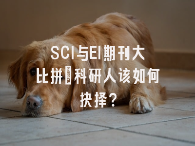 SCI与EI期刊大比拼：科研人该如何抉择？