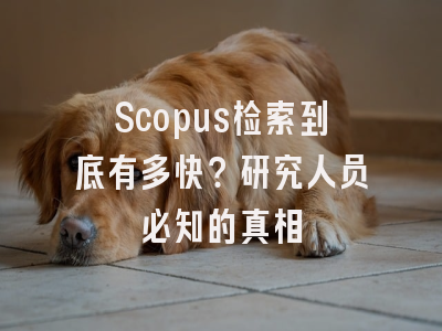 Scopus检索到底有多快？研究人员必知的真相