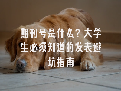期刊号是什么？大学生必须知道的发表避坑指南