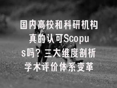 国内高校和科研机构真的认可Scopus吗？三大维度剖析学术评价体系变革
