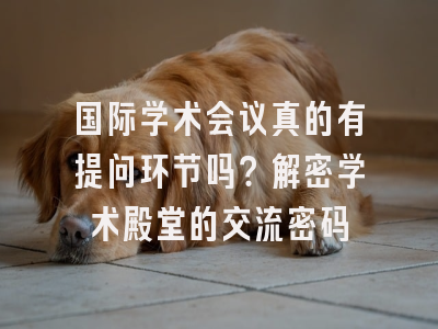 国际学术会议真的有提问环节吗？解密学术殿堂的交流密码