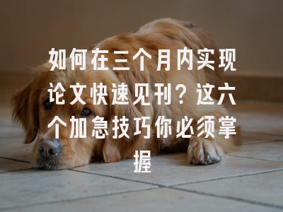 如何在三个月内实现论文快速见刊？这六个加急技巧你必须掌握