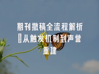 期刊撤稿全流程解析：从触发机制到声誉重建