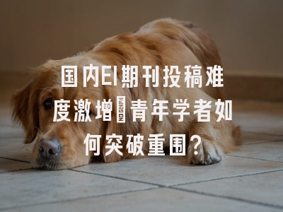 国内EI期刊投稿难度激增：青年学者如何突破重围？