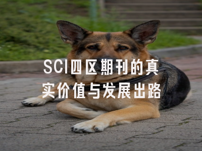 SCI四区期刊的真实价值与发展出路