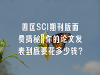 学术会议在线