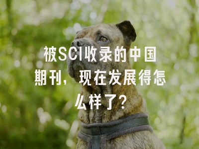 被SCI收录的中国期刊，现在发展得怎么样了？