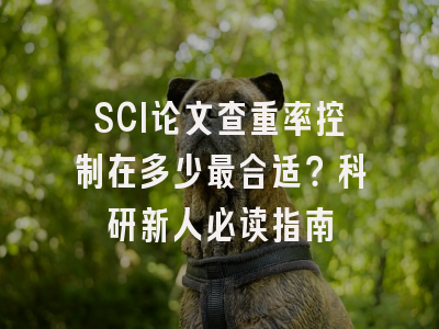 SCI论文查重率控制在多少最合适？科研新人必读指南