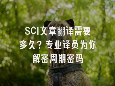 SCI文章翻译需要多久？专业译员为你解密周期密码