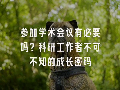 参加学术会议有必要吗？科研工作者不可不知的成长密码