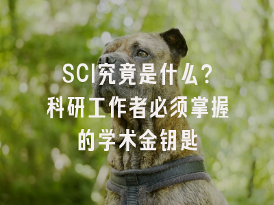 SCI究竟是什么？科研工作者必须掌握的学术金钥匙