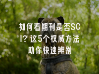 学术会议在线