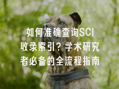 如何准确查询SCI收录索引？学术研究者必备的全流程指南