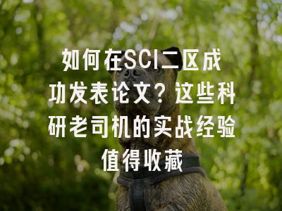 如何在SCI二区成功发表论文？这些科研老司机的实战经验值得收藏