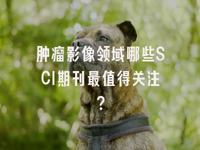 肿瘤影像领域哪些SCI期刊最值得关注？