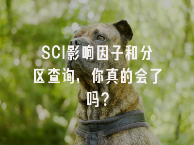 SCI影响因子和分区查询，你真的会了吗？