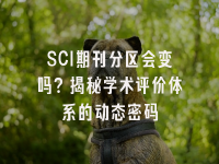 学术会议在线