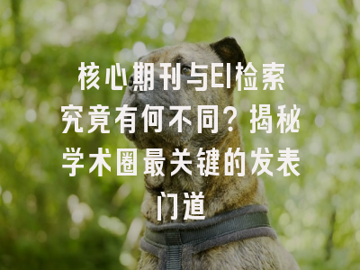 核心期刊与EI检索究竟有何不同？揭秘学术圈最关键的发表门道