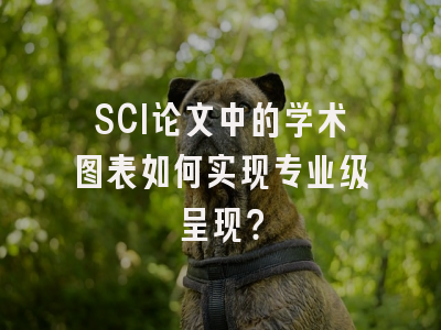 SCI论文中的学术图表如何实现专业级呈现？
