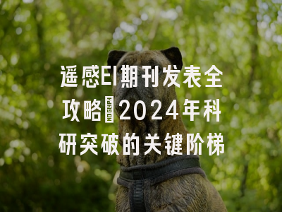 遥感EI期刊发表全攻略：2024年科研突破的关键阶梯