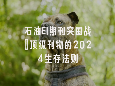 石油EI期刊突围战：顶级刊物的2024生存法则